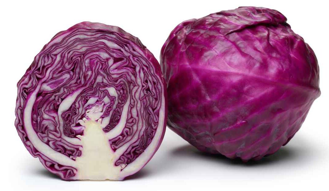 Red Cabbage, a real superfood